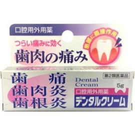 【No Echi Pharmaceutical】 Dental Cream 5g 4975687013178image