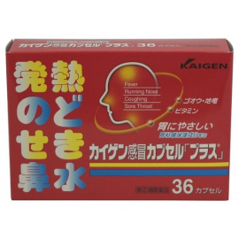 【Kaigen】 Kaigen Cold Capsule *Plus* 36 caps 4987040052687image