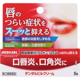 【Morishita Jintan】 Dental Pill Cream 5g 4987227030880image
