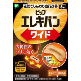 【PIP】 Fujimoto Electric Van Wide 6 tablets 4902522680455image