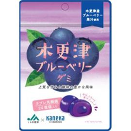 【Kaneka Foods】 Kisarazu Blueberry Gummy with Lovere Lactic Acid Bacteria 40g 4582465580731image