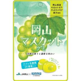 【Kaneka Foods】 Okayama Muscat Gummy Love Lactic Acid Bacteria 40g 4582465588515image